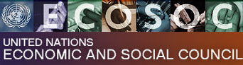 Banner of United Nations ECOSOC